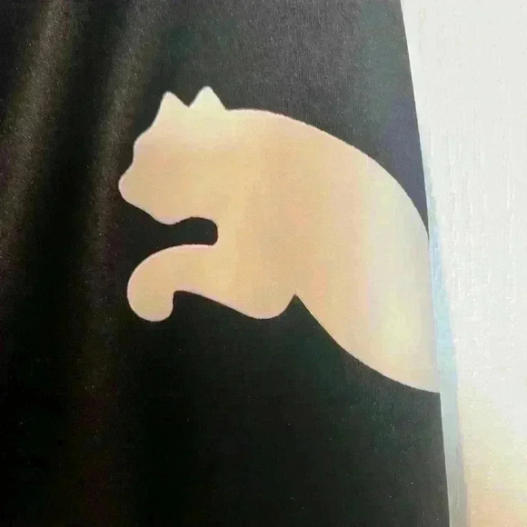 Puma Speed Boys' Performance Shorts JR  Size XL - Picture 3 of 13